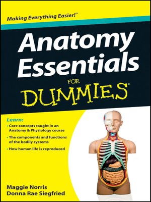 cover image of Anatomy Essentials For Dummies